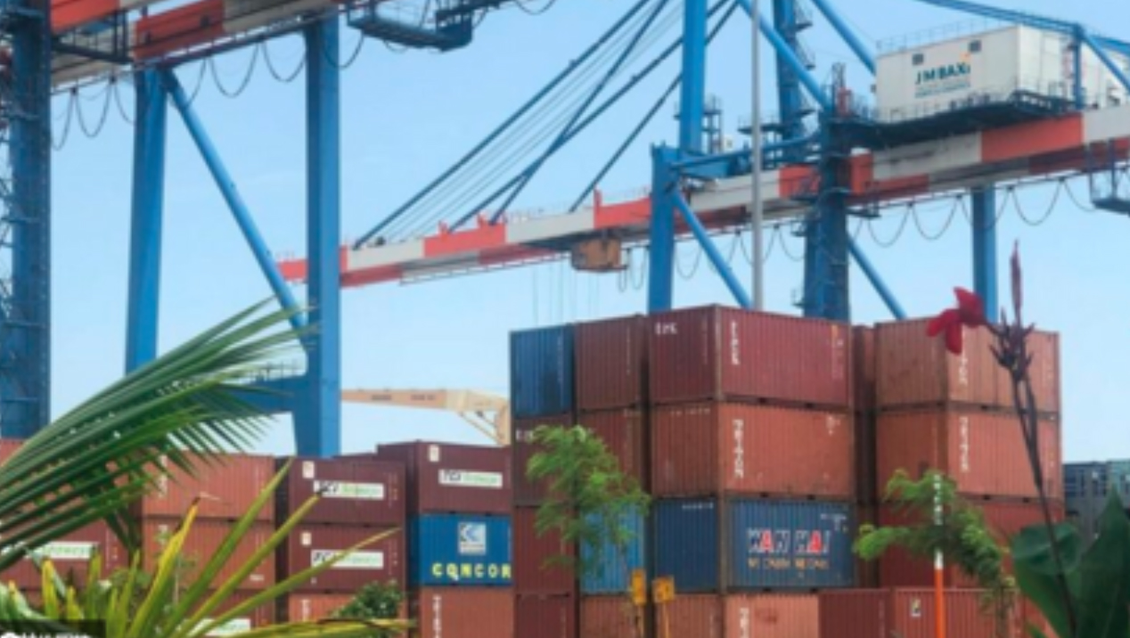 1675146223340699.jpg 3.jpg